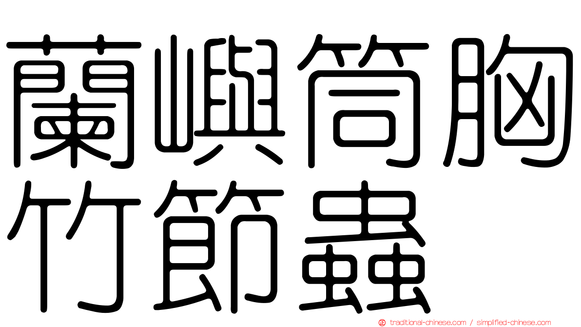 蘭嶼筒胸竹節蟲