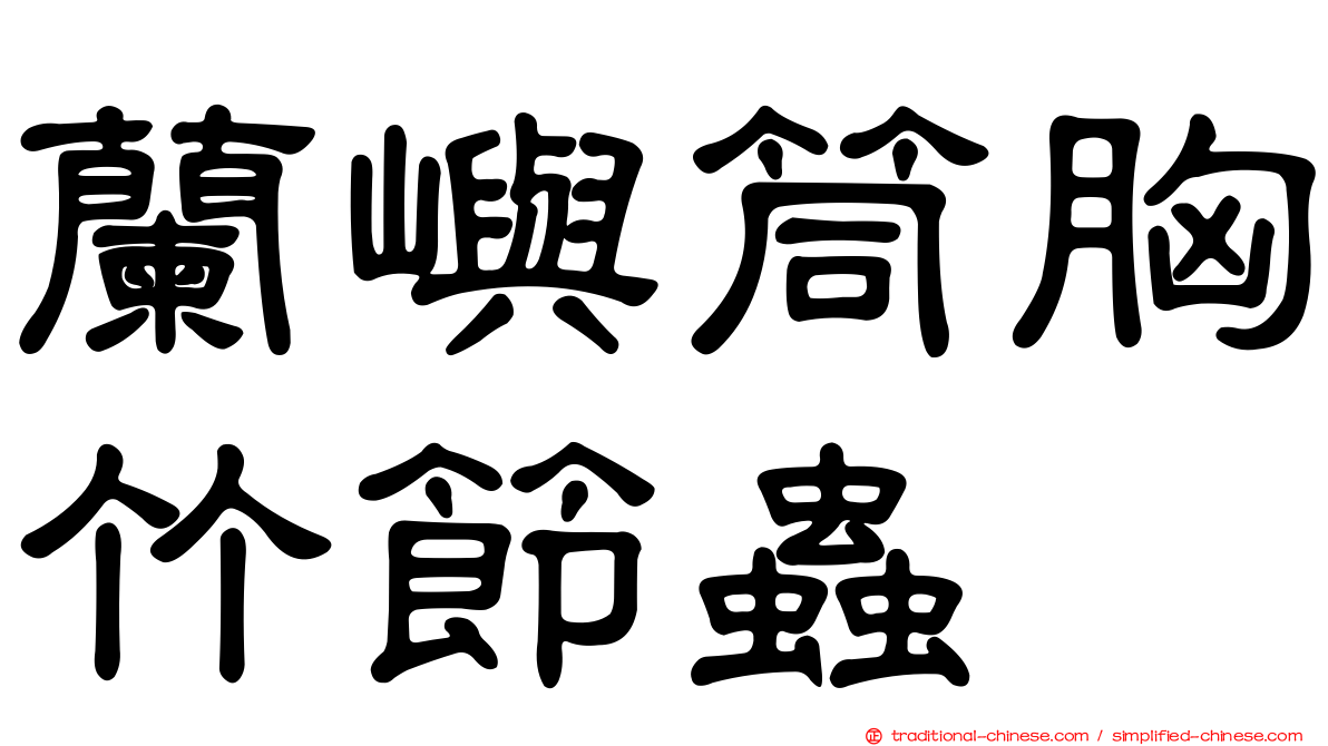蘭嶼筒胸竹節蟲