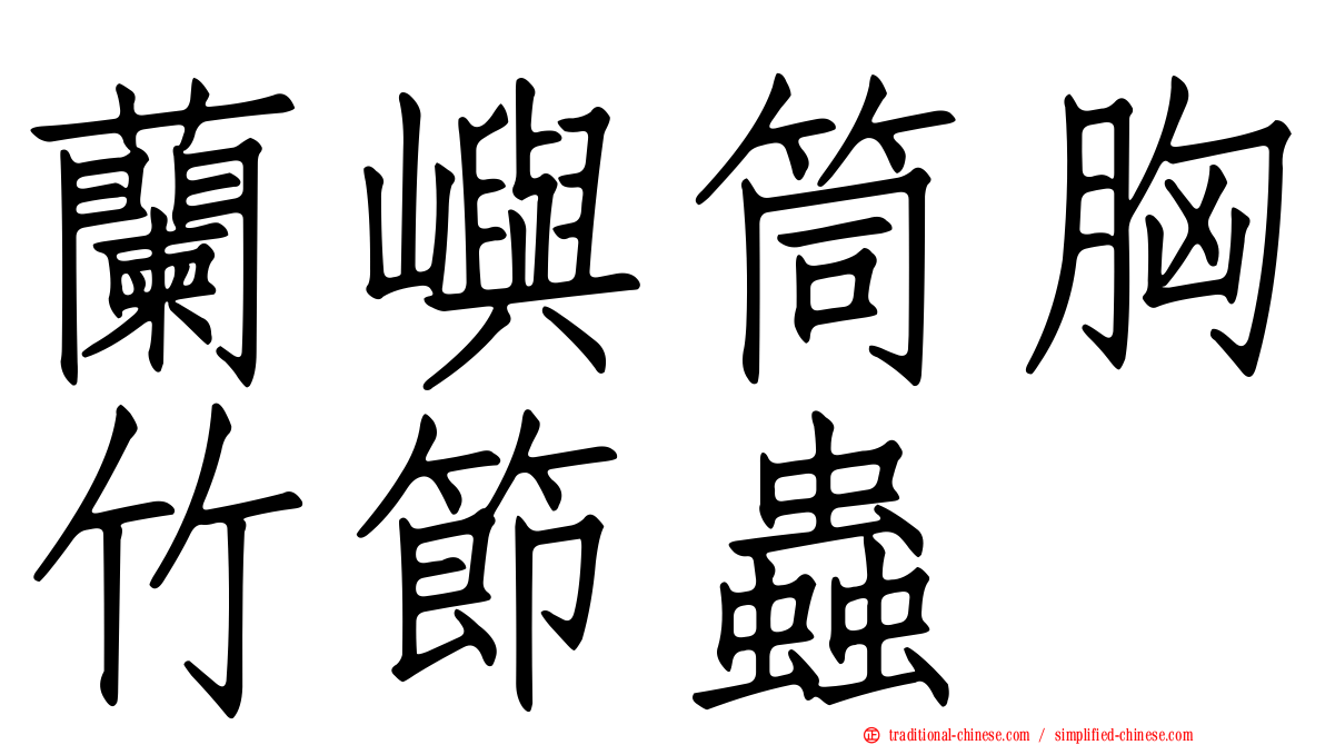 蘭嶼筒胸竹節蟲