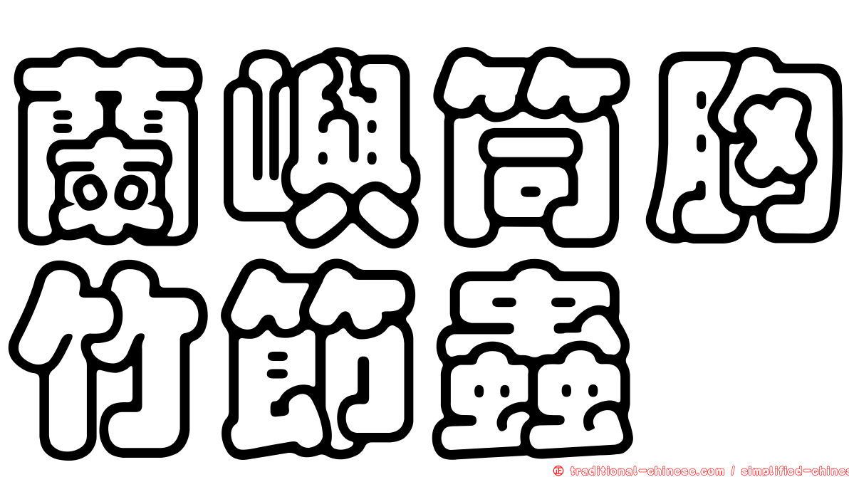 蘭嶼筒胸竹節蟲