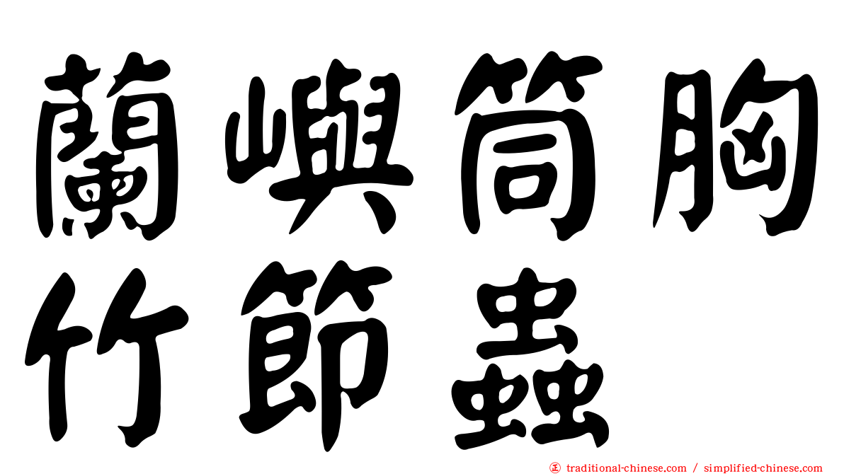 蘭嶼筒胸竹節蟲