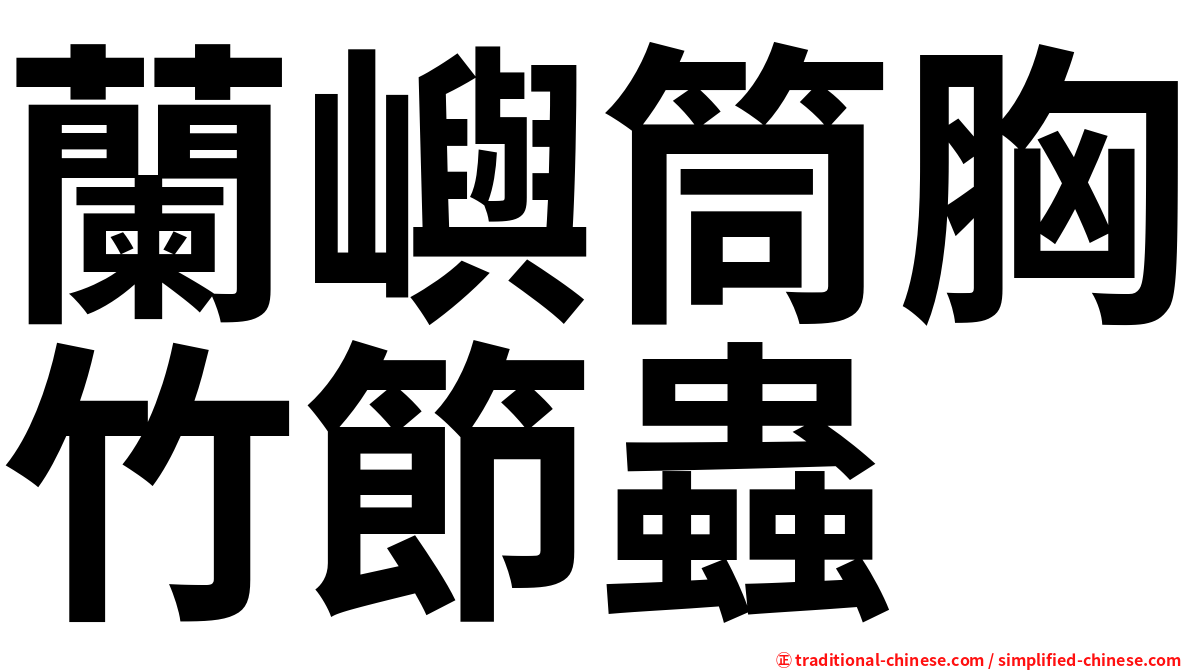 蘭嶼筒胸竹節蟲