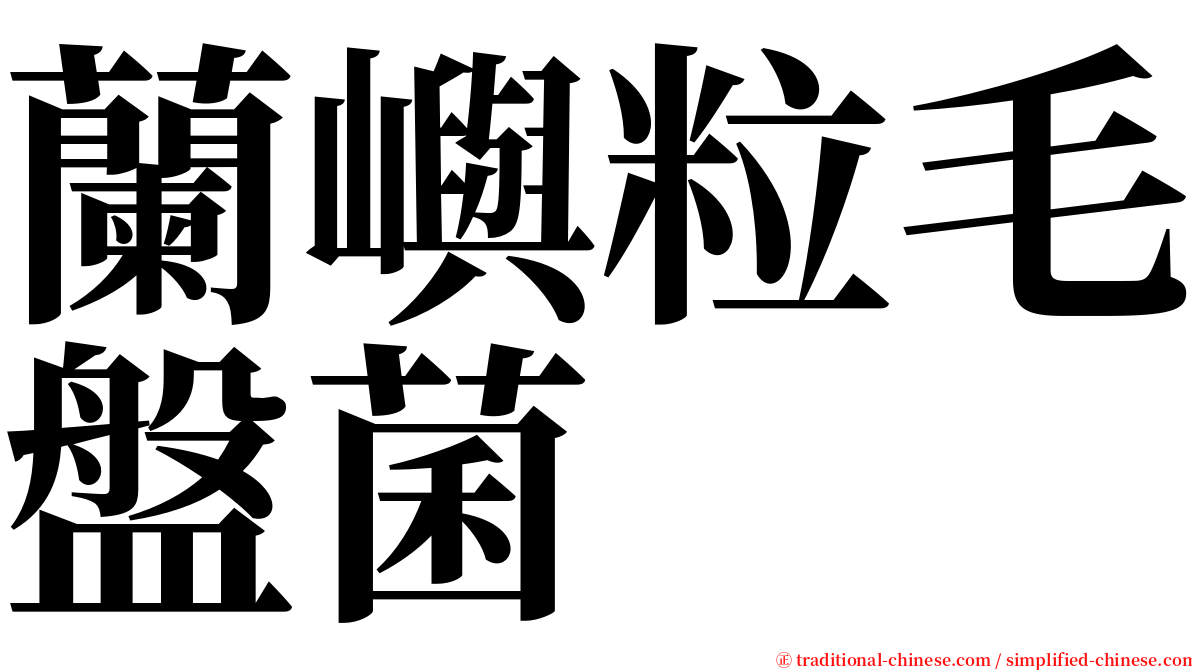 蘭嶼粒毛盤菌 serif font