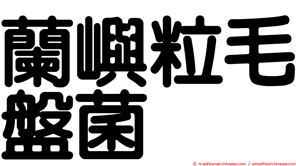 蘭嶼粒毛盤菌
