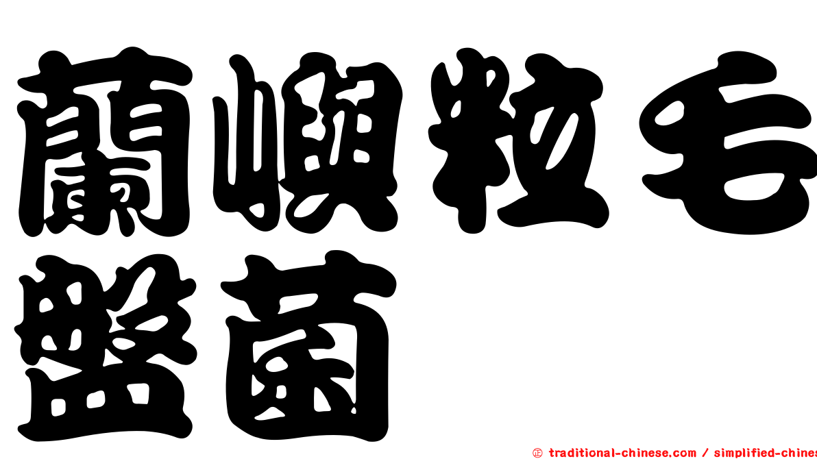 蘭嶼粒毛盤菌