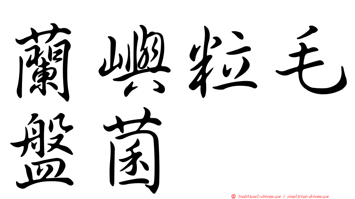 蘭嶼粒毛盤菌