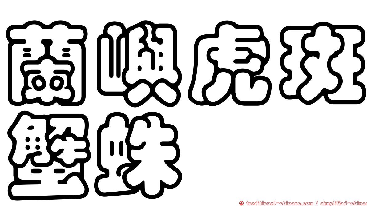 蘭嶼虎斑蟹蛛