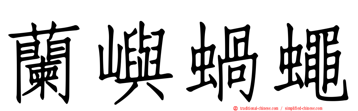 蘭嶼蝸蠅