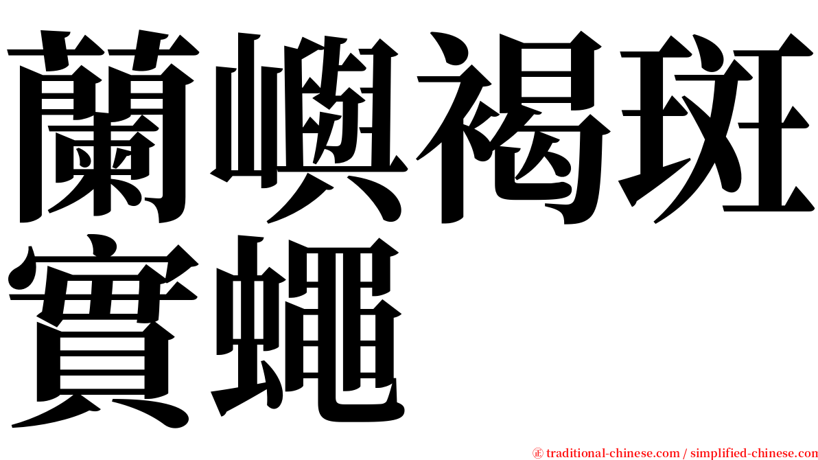 蘭嶼褐斑實蠅 serif font