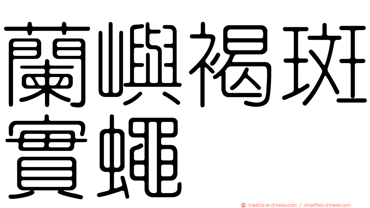 蘭嶼褐斑實蠅