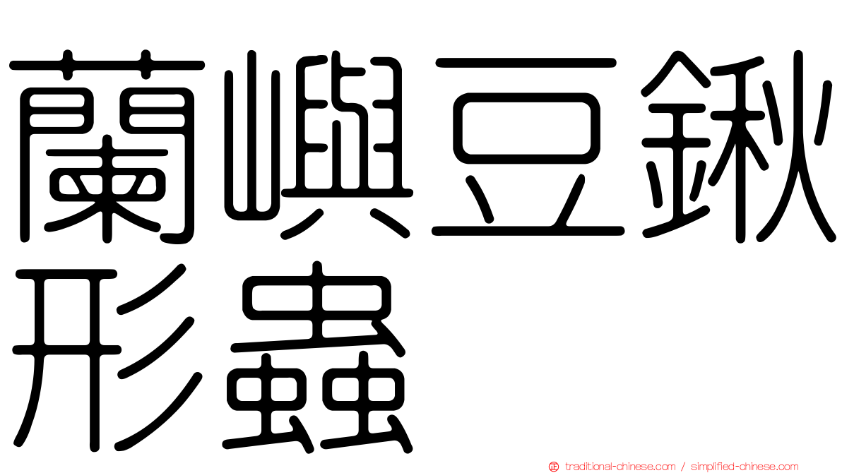 蘭嶼豆鍬形蟲