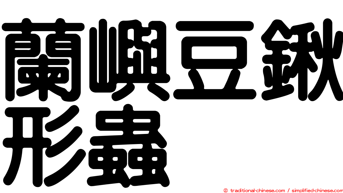 蘭嶼豆鍬形蟲