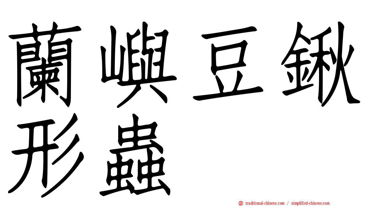 蘭嶼豆鍬形蟲