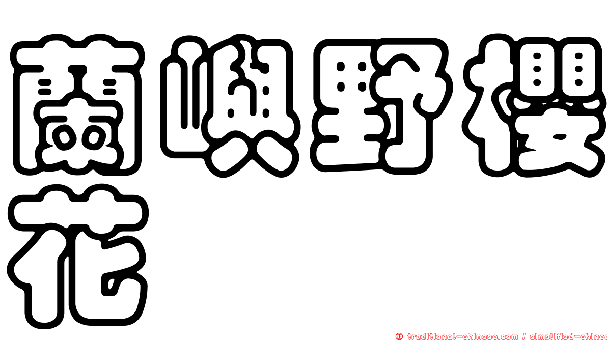 蘭嶼野櫻花