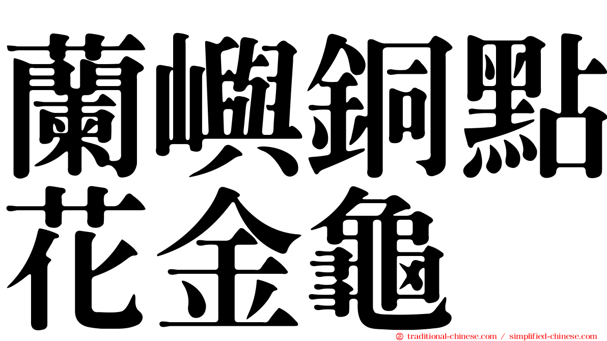 蘭嶼銅點花金龜