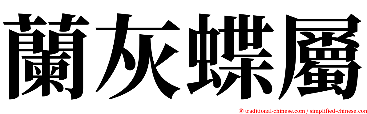 蘭灰蝶屬 serif font