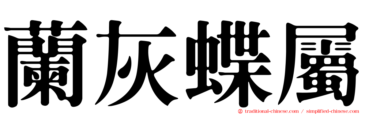 蘭灰蝶屬