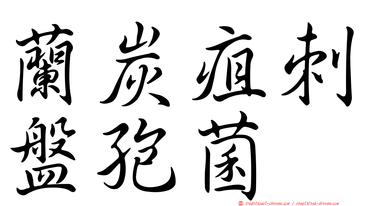 蘭炭疽刺盤孢菌