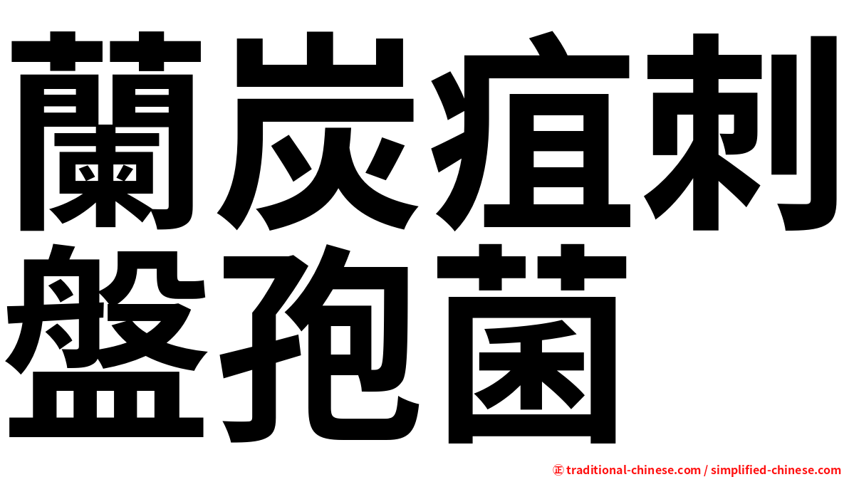 蘭炭疽刺盤孢菌
