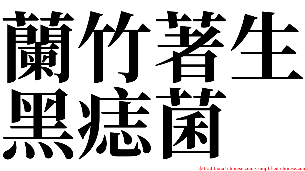 蘭竹著生黑痣菌 serif font