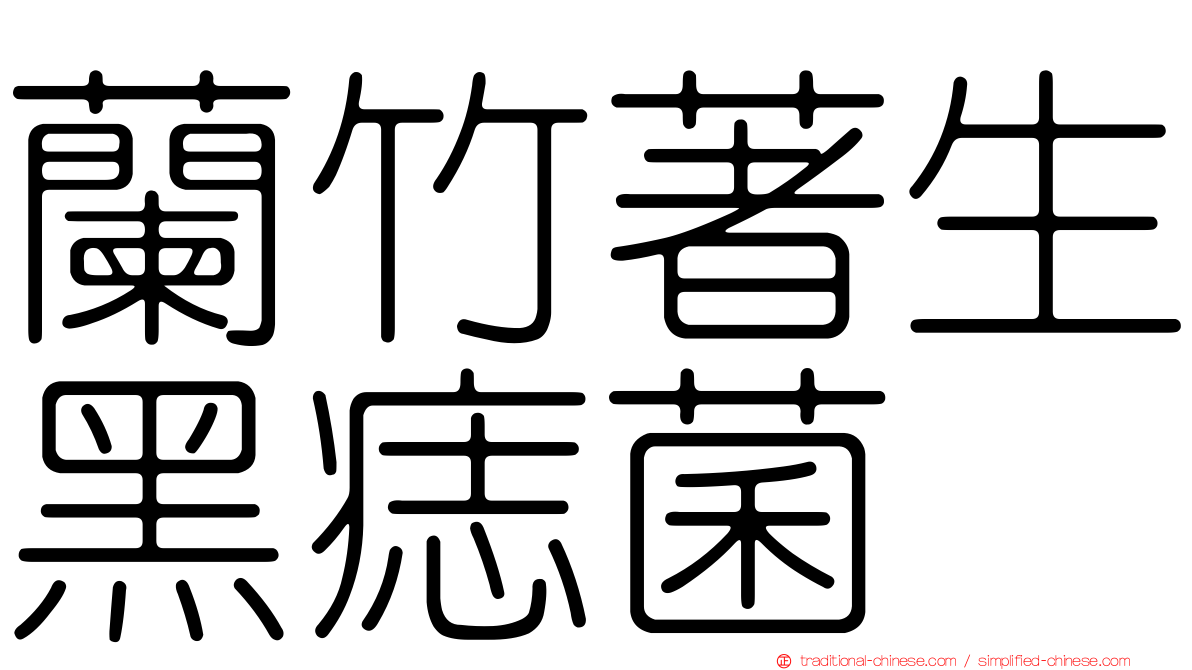 蘭竹著生黑痣菌