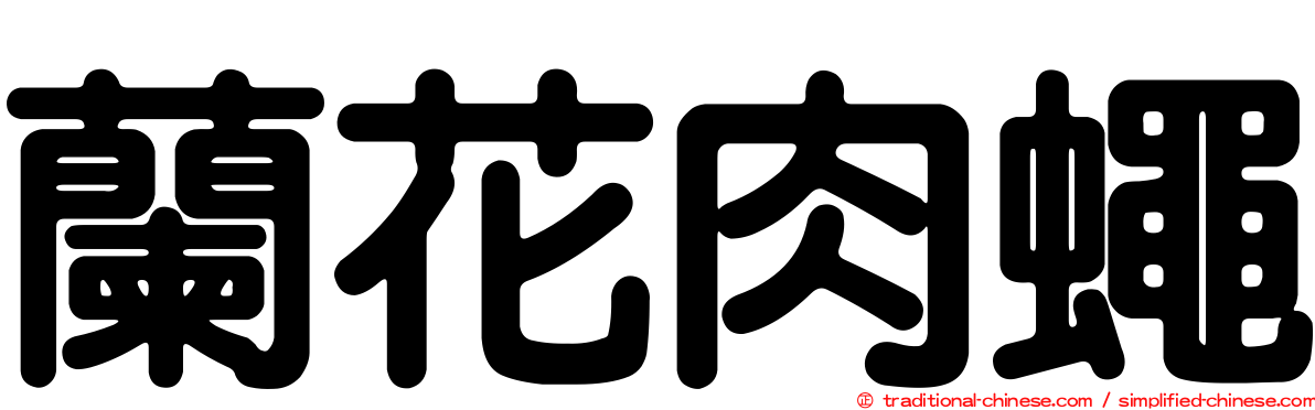 蘭花肉蠅