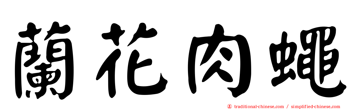 蘭花肉蠅