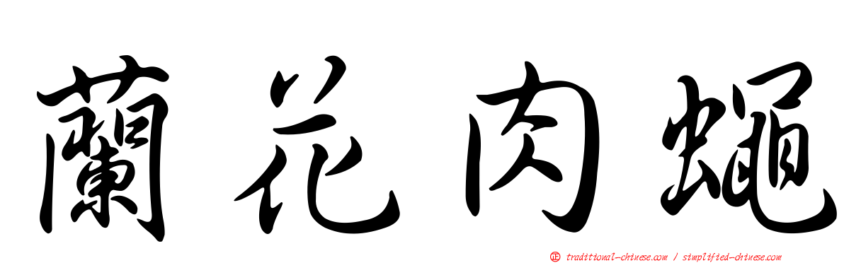 蘭花肉蠅
