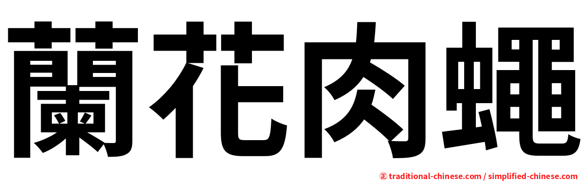 蘭花肉蠅