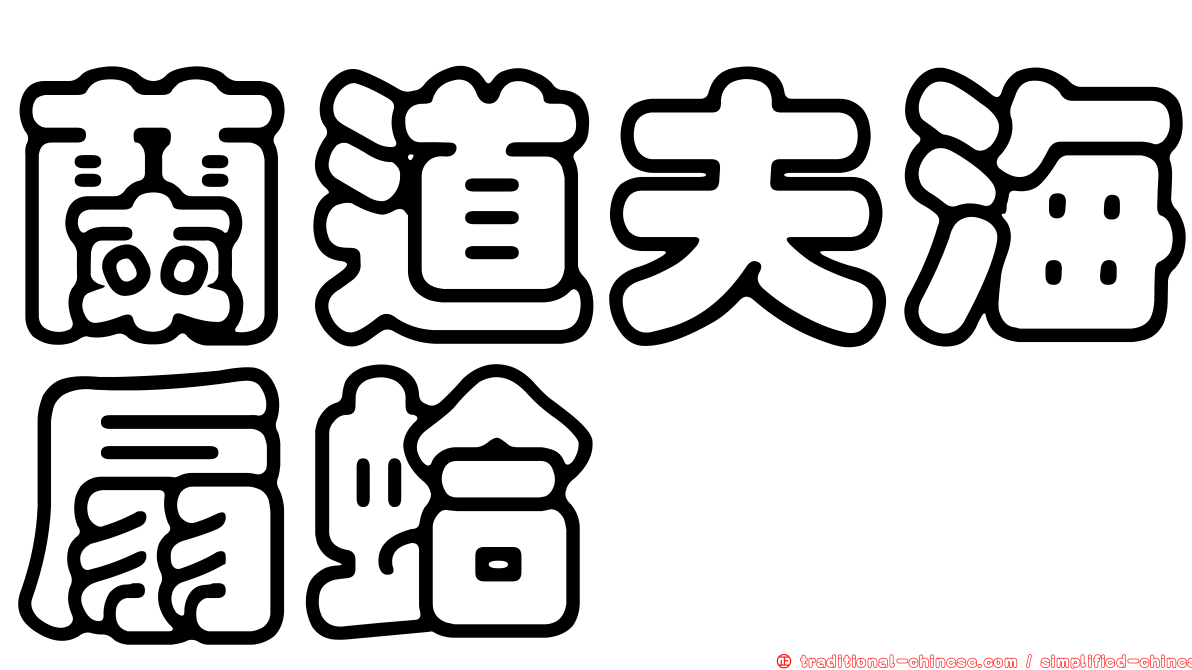 蘭道夫海扇蛤