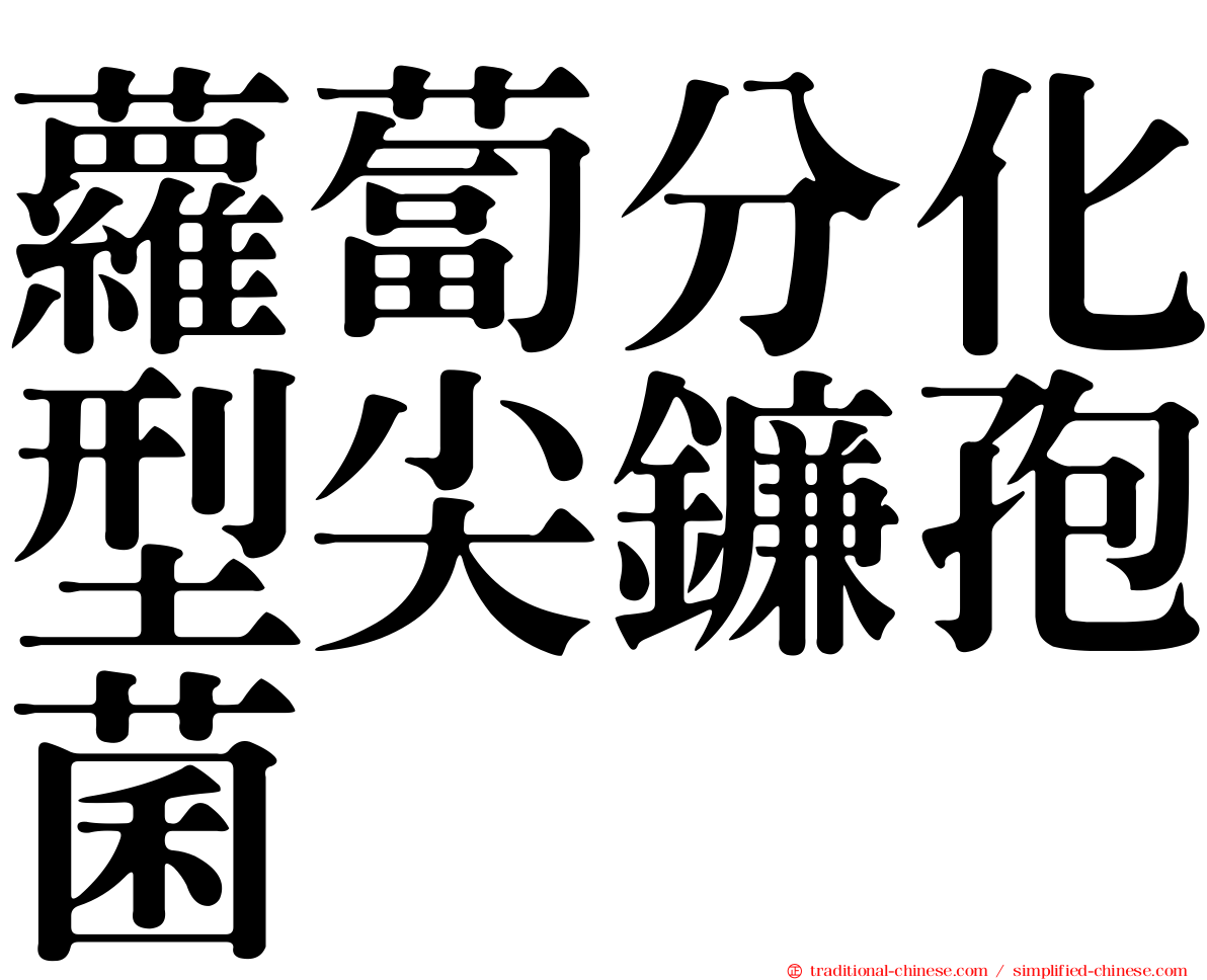 蘿蔔分化型尖鐮孢菌