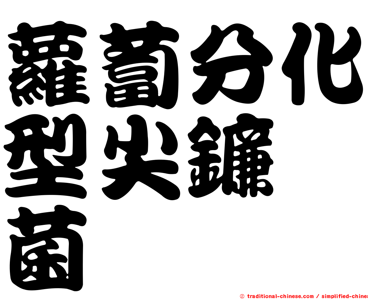 蘿蔔分化型尖鐮孢菌