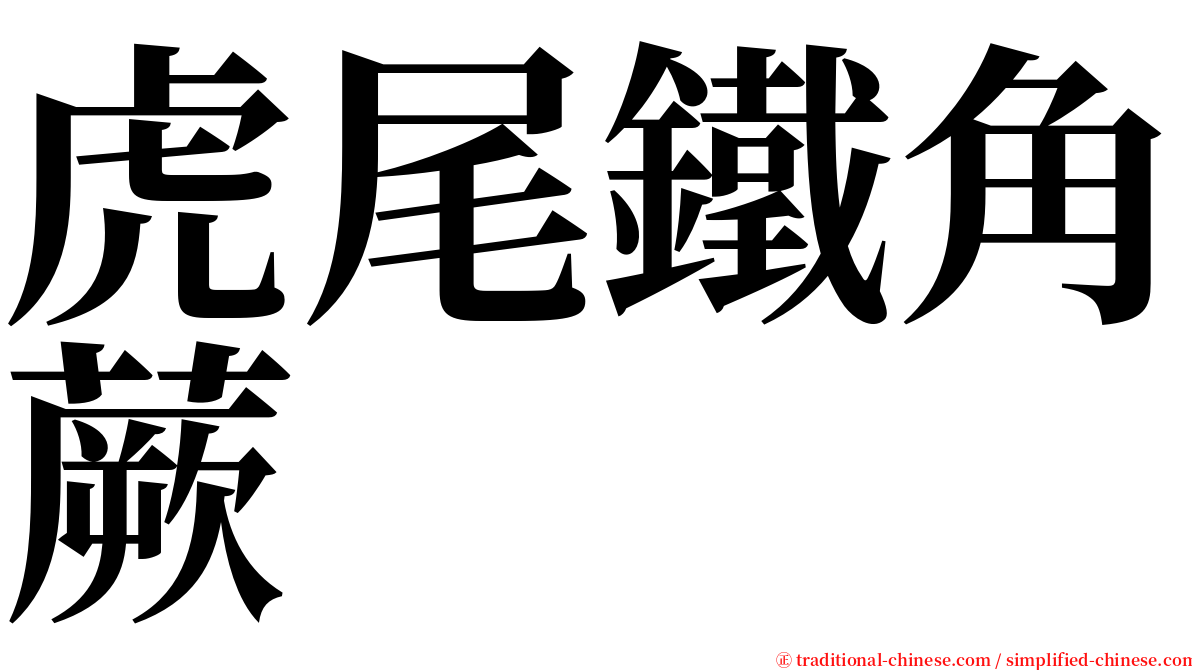 虎尾鐵角蕨 serif font