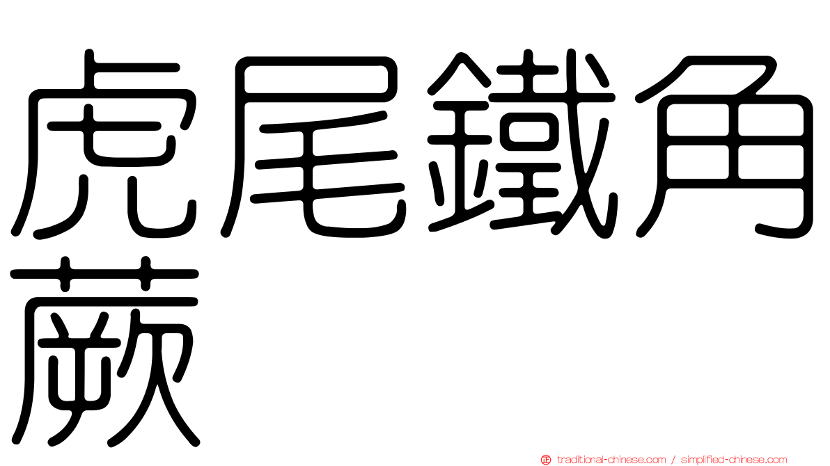 虎尾鐵角蕨