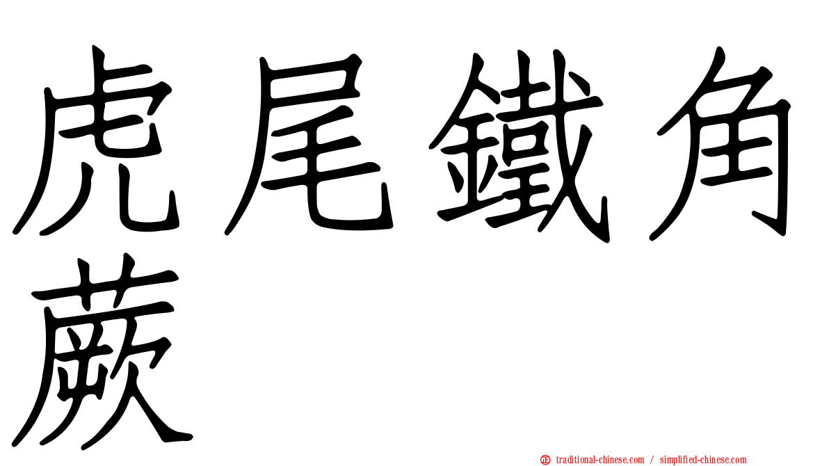 虎尾鐵角蕨
