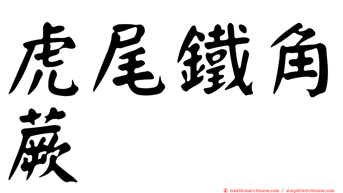 虎尾鐵角蕨