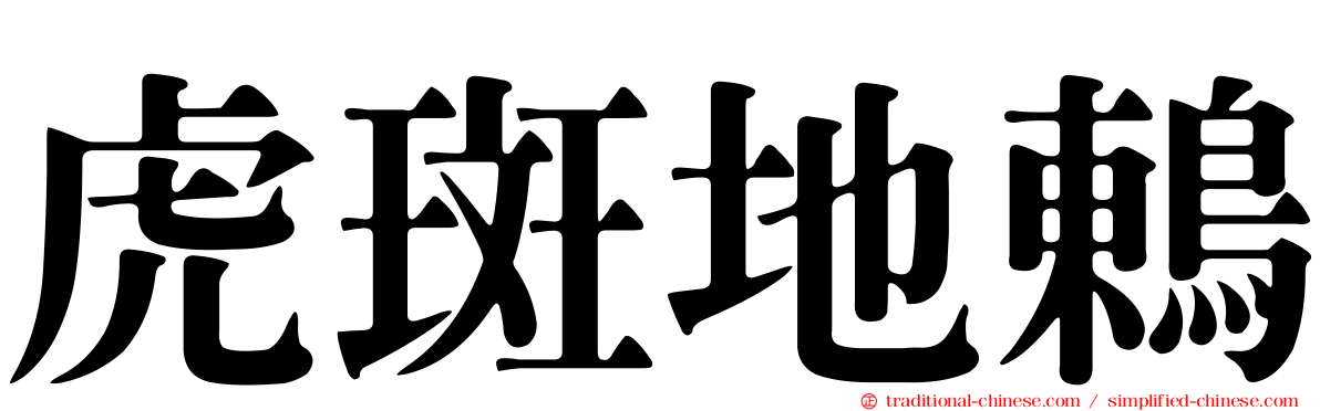 虎斑地鶇