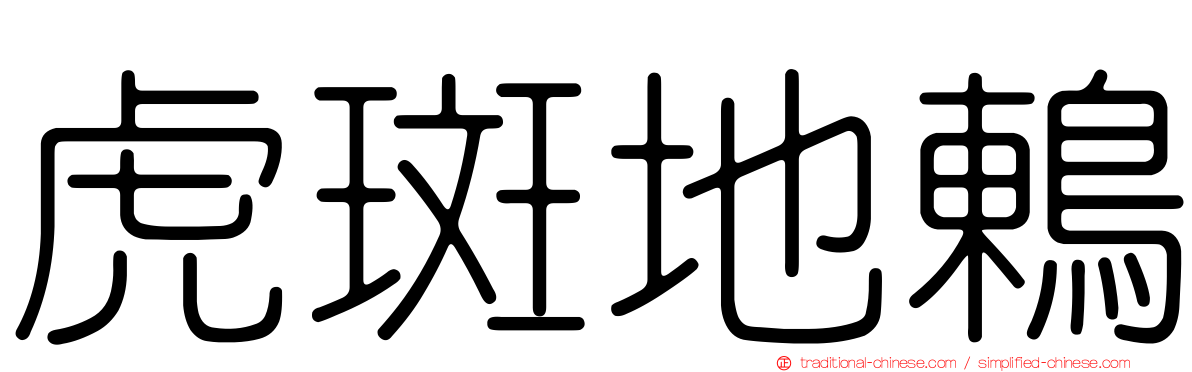 虎斑地鶇