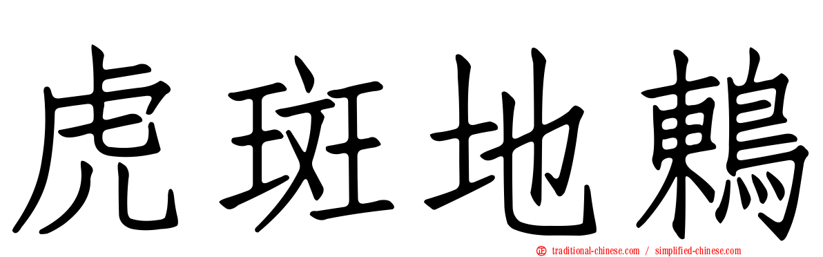 虎斑地鶇