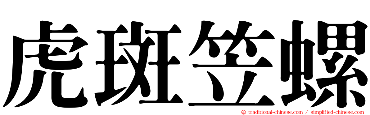 虎斑笠螺
