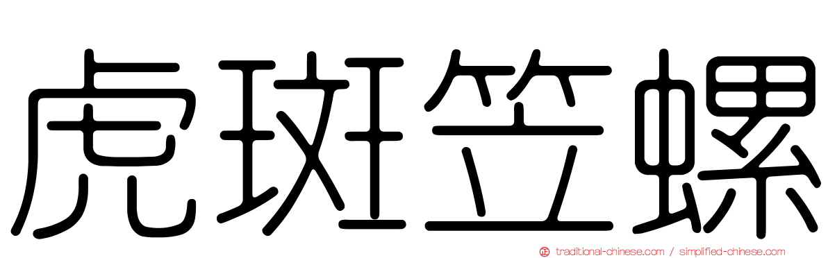 虎斑笠螺