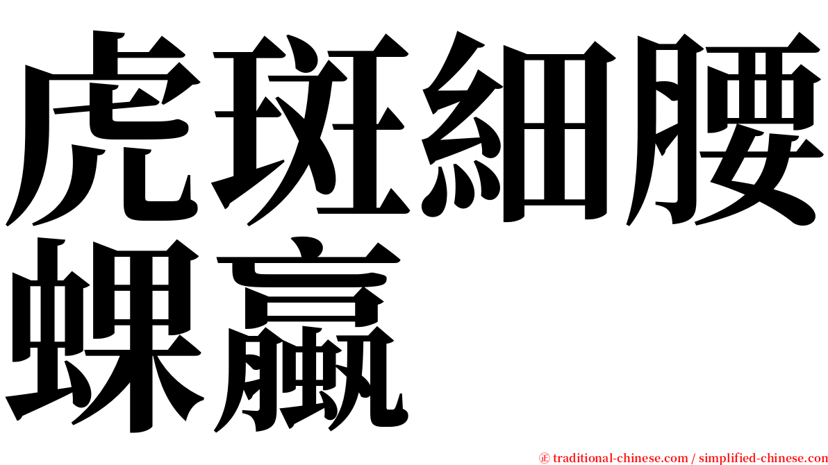 虎斑細腰蜾蠃 serif font