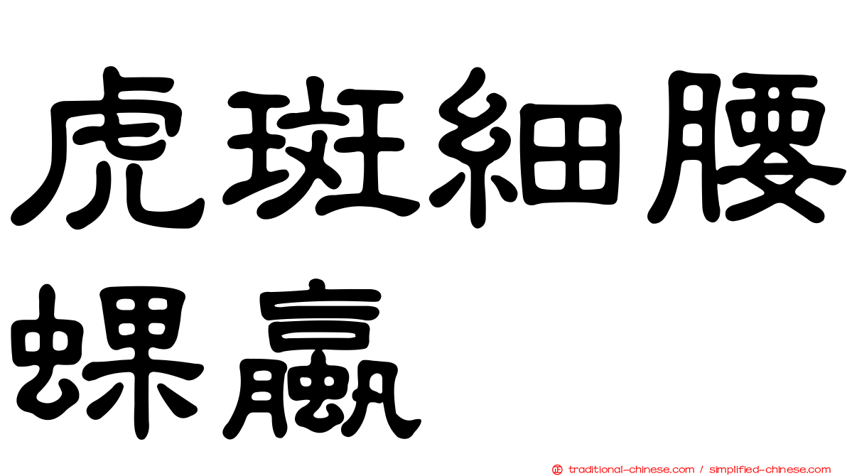 虎斑細腰蜾蠃