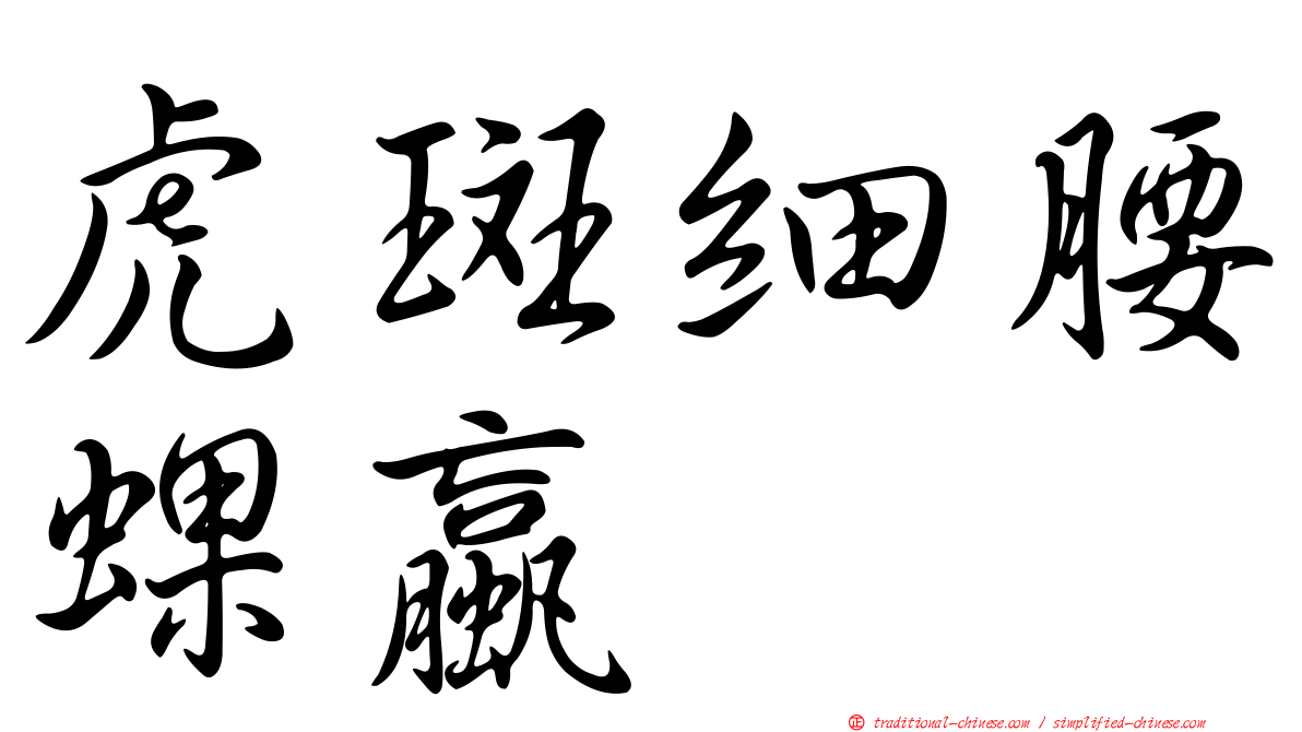 虎斑細腰蜾蠃