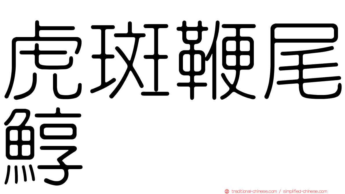 虎斑鞭尾鯙