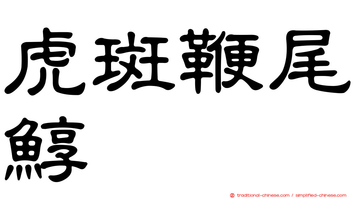 虎斑鞭尾鯙