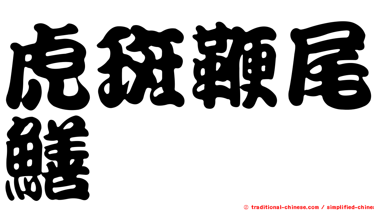 虎斑鞭尾鱔