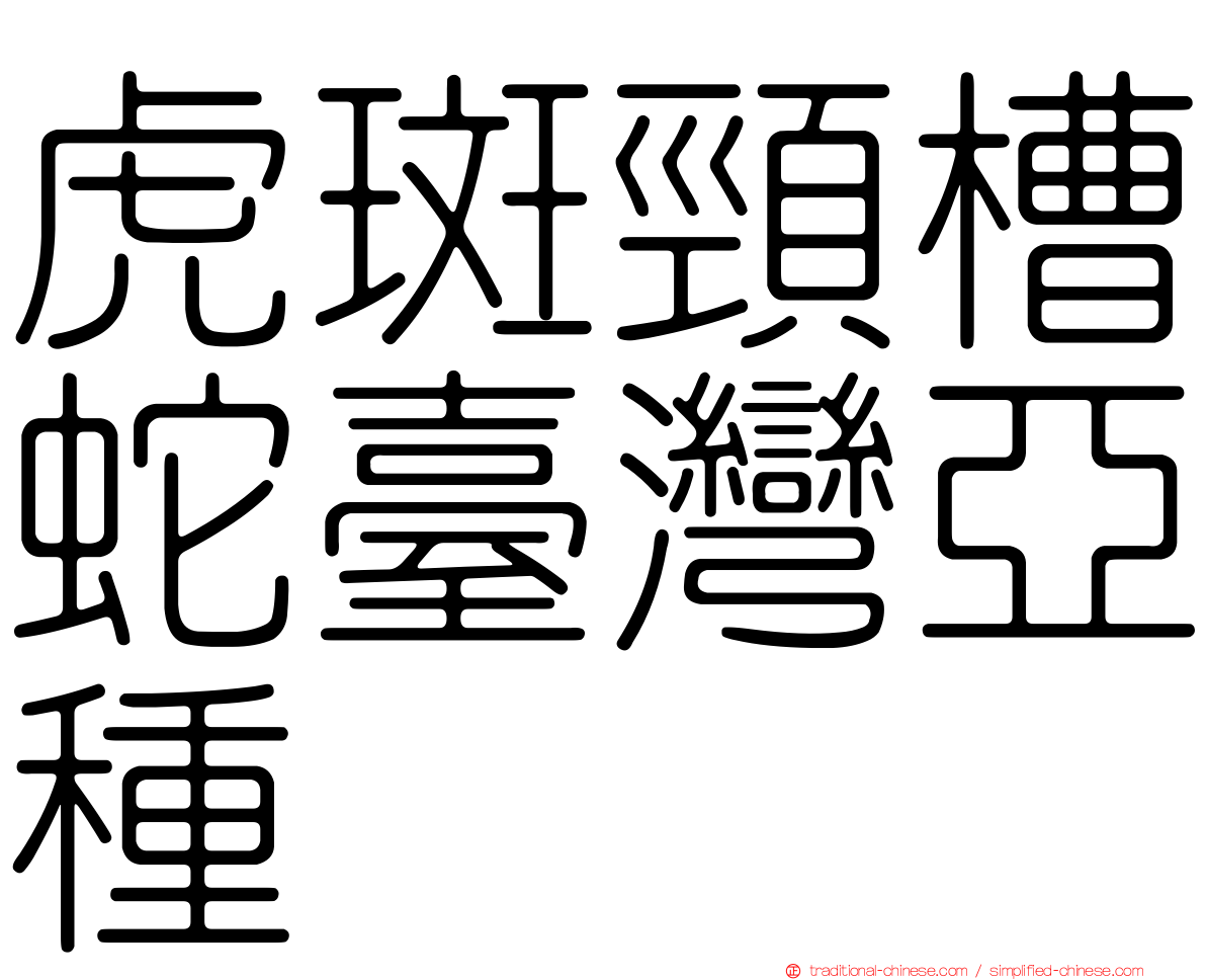 虎斑頸槽蛇臺灣亞種