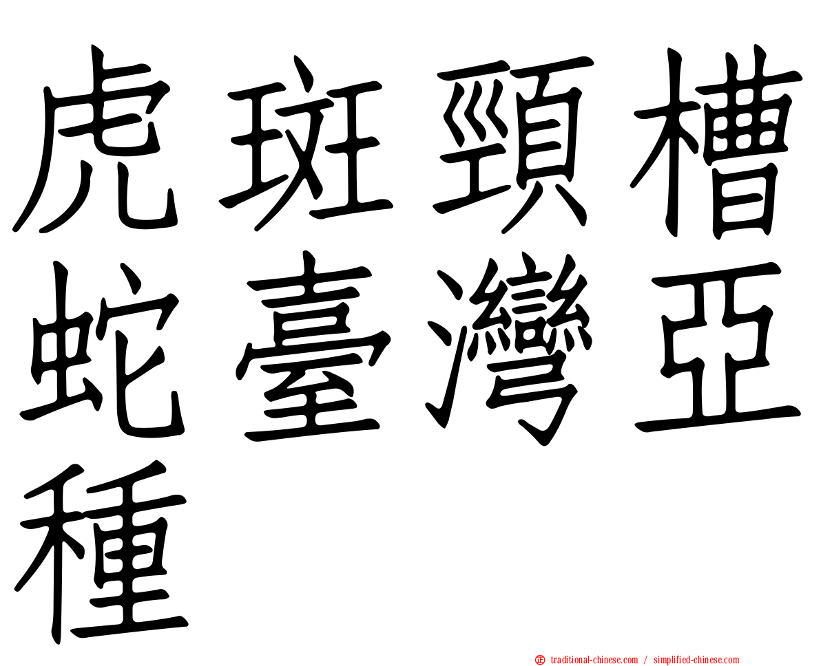 虎斑頸槽蛇臺灣亞種
