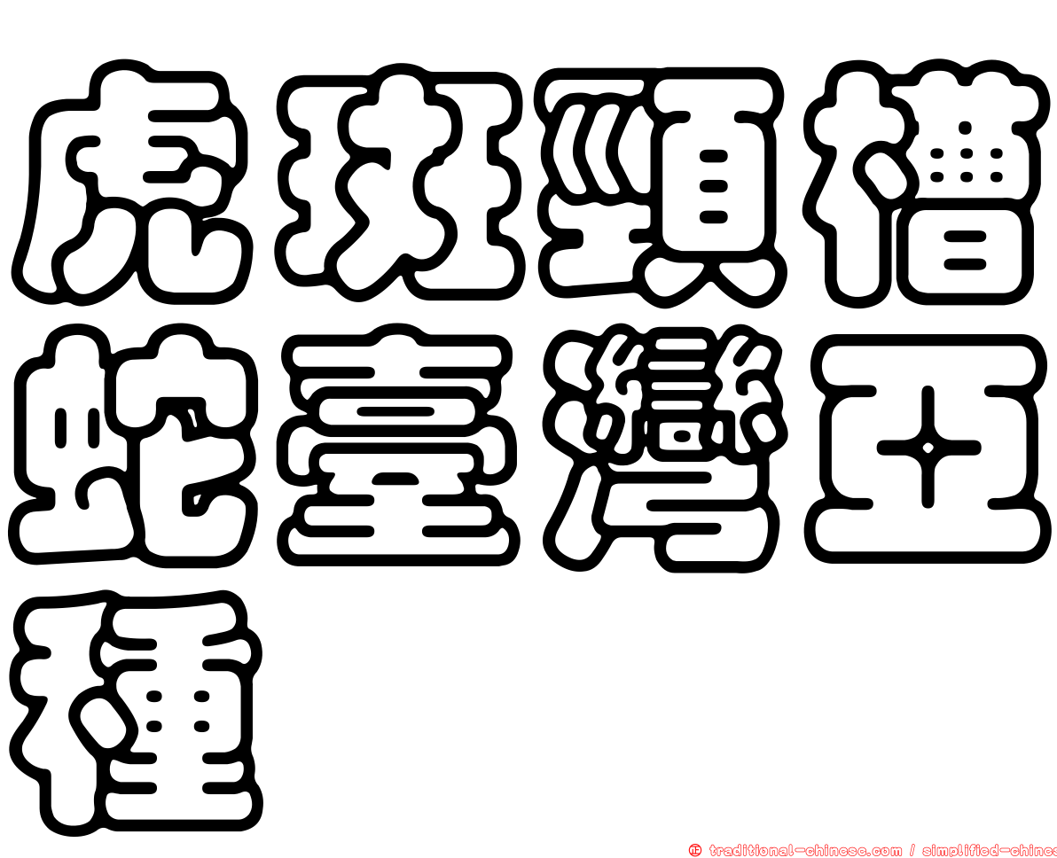 虎斑頸槽蛇臺灣亞種